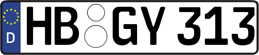 HB-GY313