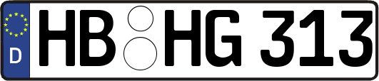 HB-HG313