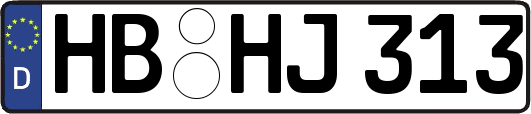 HB-HJ313