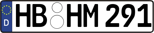 HB-HM291