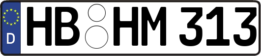 HB-HM313