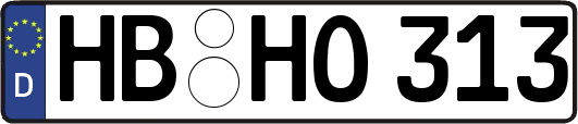 HB-HO313