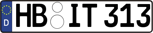 HB-IT313