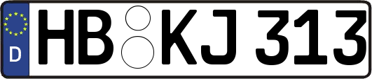 HB-KJ313