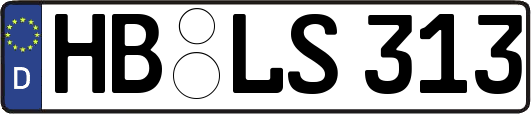 HB-LS313