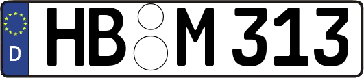HB-M313