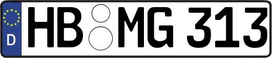 HB-MG313
