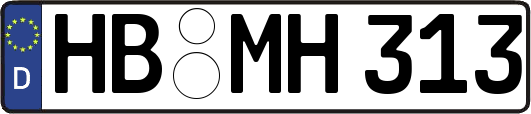 HB-MH313