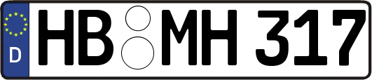 HB-MH317