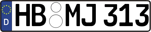 HB-MJ313