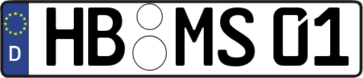 HB-MS01
