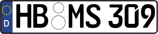 HB-MS309