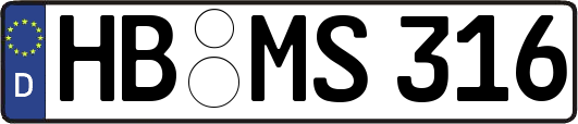 HB-MS316