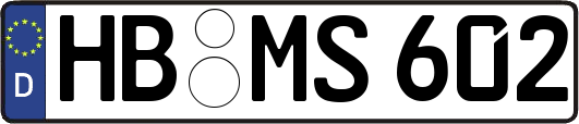 HB-MS602