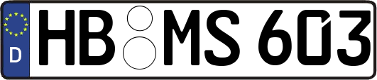 HB-MS603