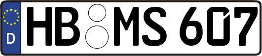 HB-MS607