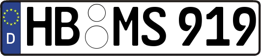 HB-MS919