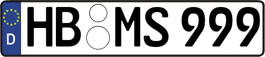 HB-MS999