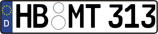 HB-MT313