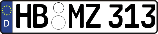 HB-MZ313