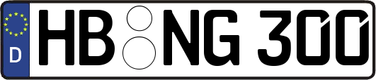 HB-NG300