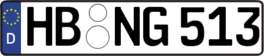 HB-NG513