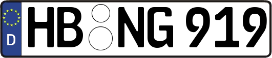 HB-NG919