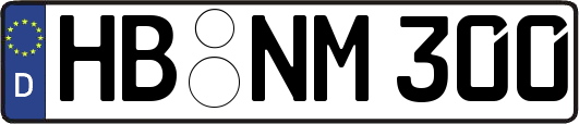HB-NM300