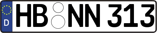 HB-NN313