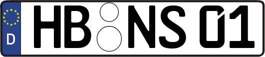 HB-NS01