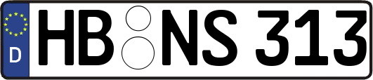 HB-NS313