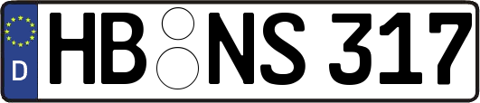 HB-NS317