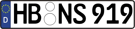 HB-NS919
