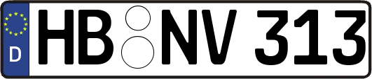 HB-NV313