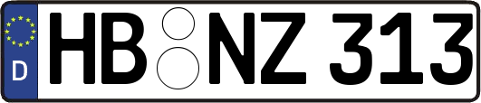 HB-NZ313