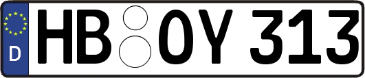 HB-OY313