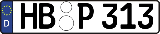 HB-P313