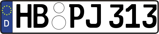 HB-PJ313