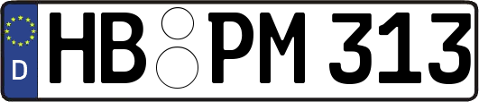 HB-PM313