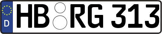 HB-RG313