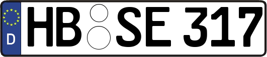 HB-SE317