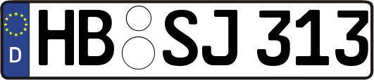 HB-SJ313