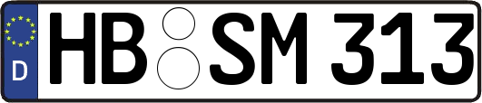 HB-SM313