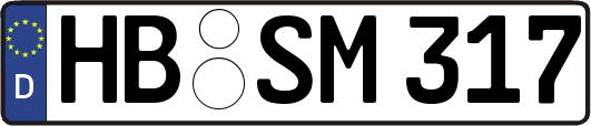 HB-SM317