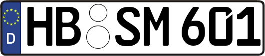 HB-SM601
