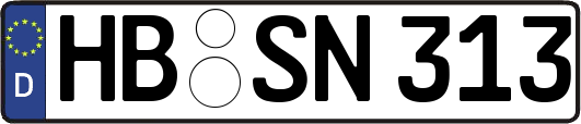 HB-SN313