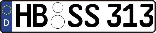 HB-SS313