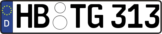 HB-TG313
