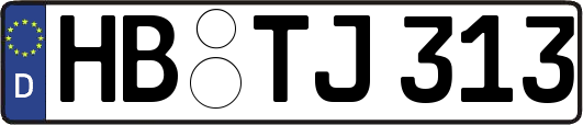 HB-TJ313