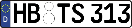 HB-TS313